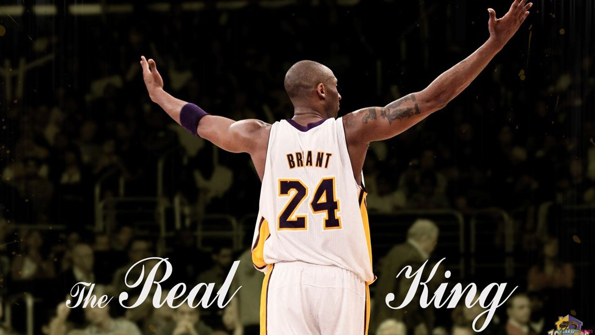 NBA明星的多重身份:从篮球偶像到时尚icon,nba明星的身高