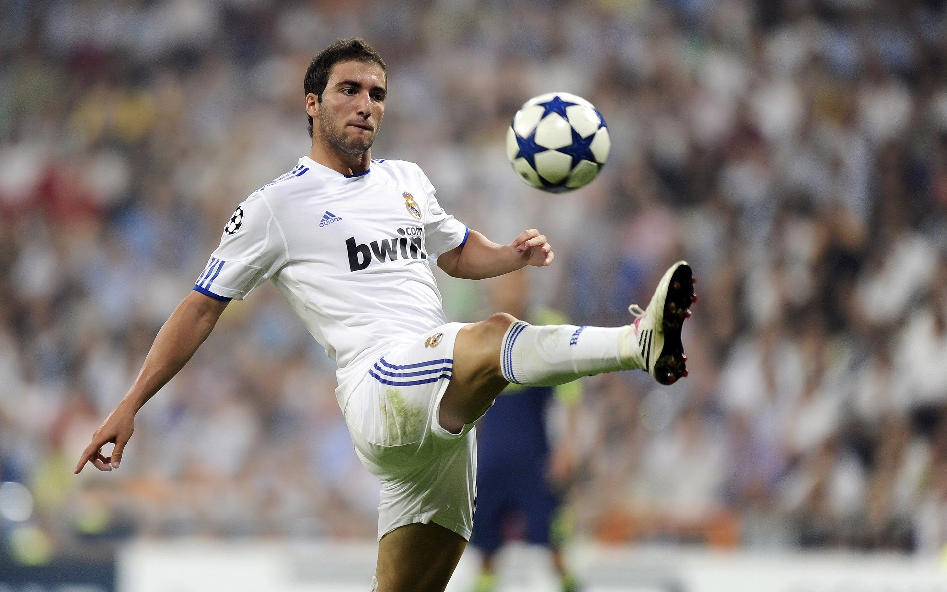 _马刺新锐崛起，势头正猛_，马刺新成员