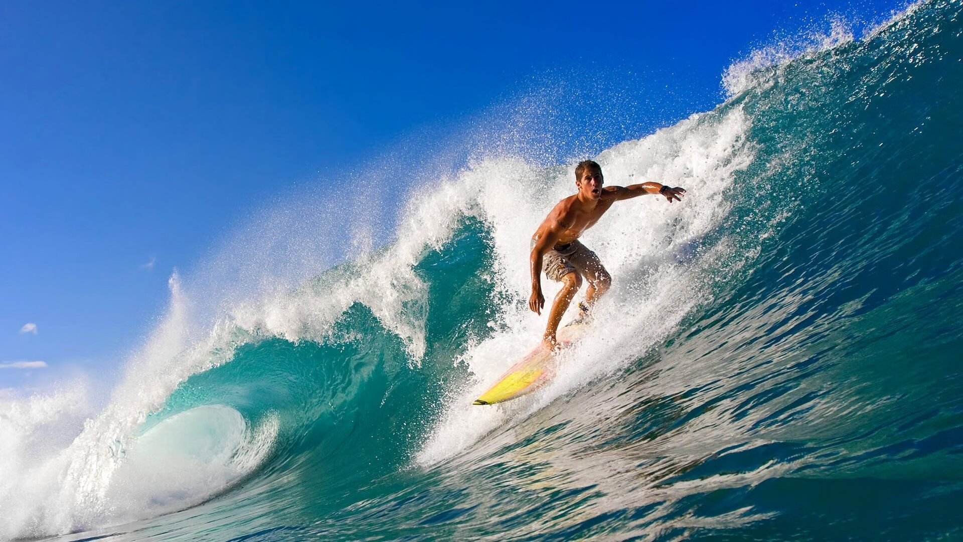 开云体育平台APP-“德甲争冠集团压力剧增，场面火爆”，德甲冠军数排名