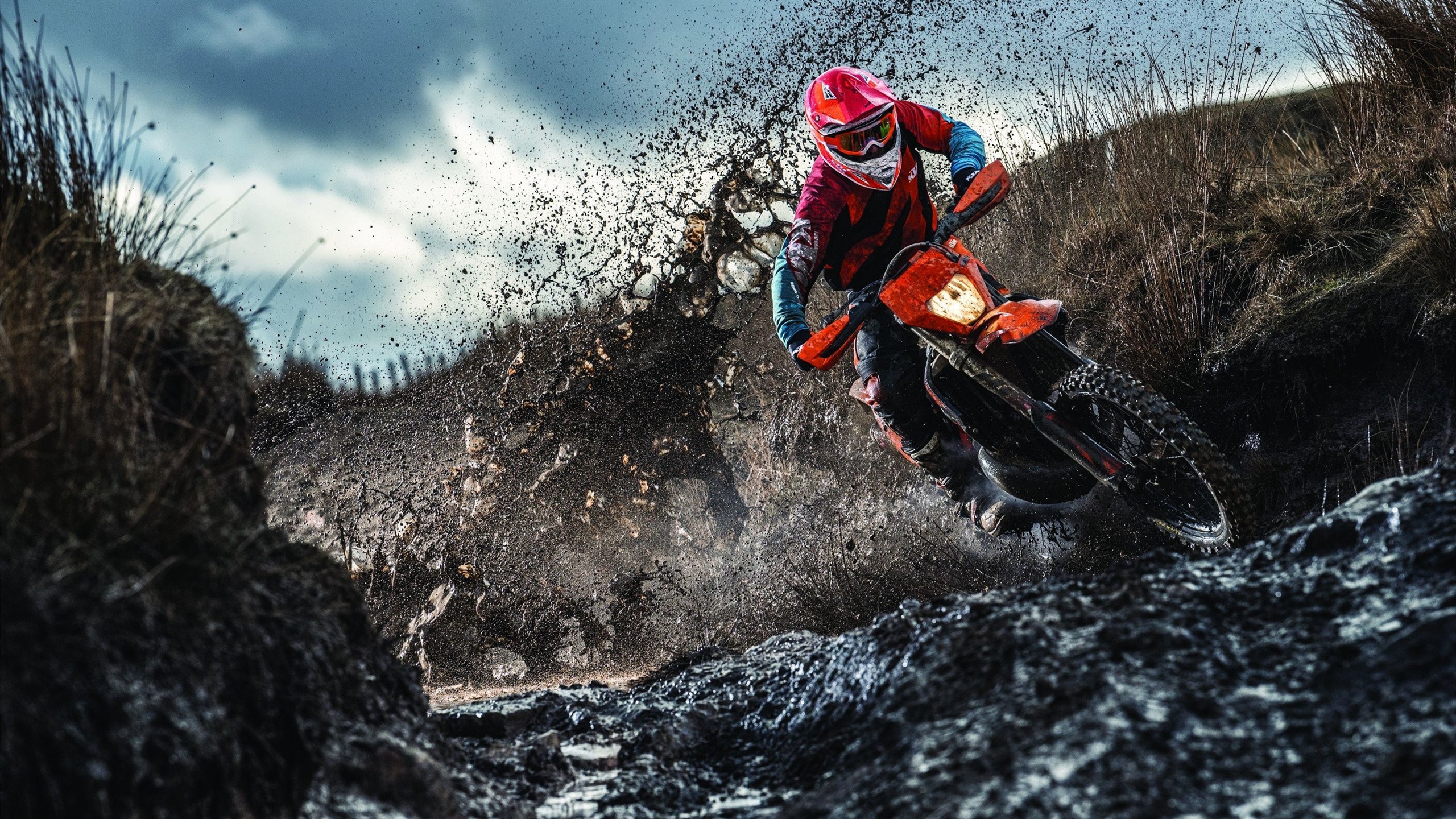 “德甲争冠集团压力剧增，场面火爆”，德甲冠军数排名